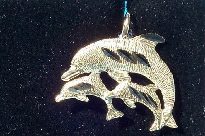 10K Dolphin Family