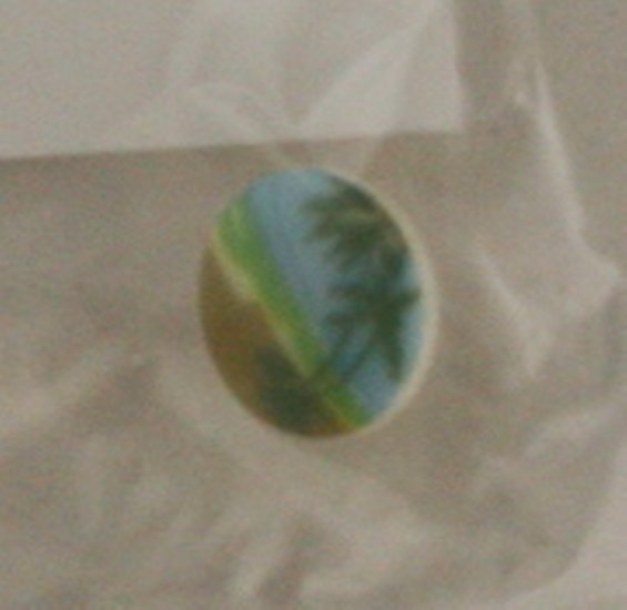 Design Under Plastic Button-BUTTON VINTAGE Beach 1/2 Inch