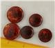 5 Button Set Faux Tortoiseshell VINTAGE BUTTON PLASTIC 7/8 & 1-1/16 Inch