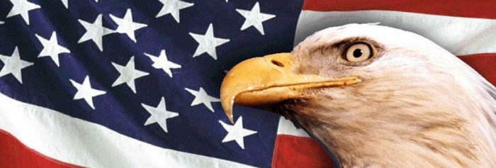 AMERICAN FLAG & EAGLE