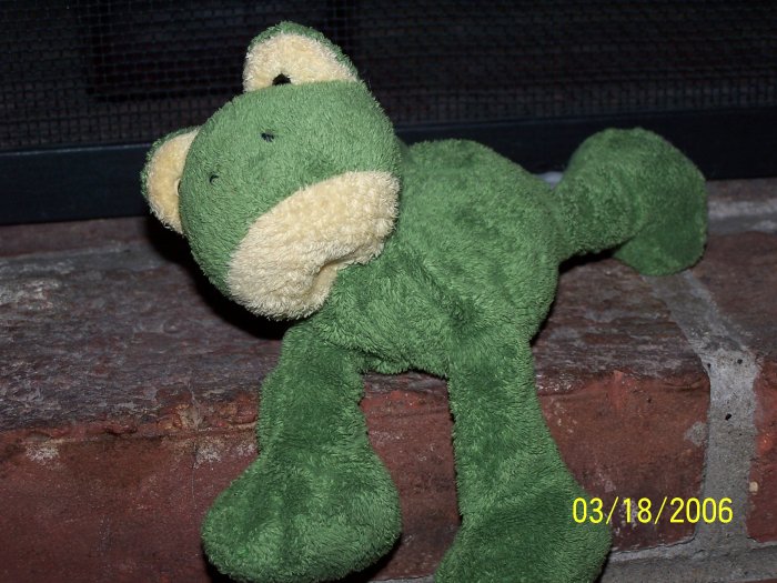 Mr. Froggy