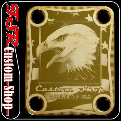 (G0016) GOLD EAGLE/USA FLAG NECK PLATE fits fender stratocaster
