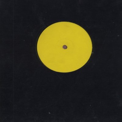 Wendy & Lisa Waterfall Promo12"" Single