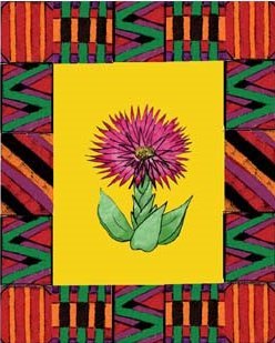 African Flower-8 box set