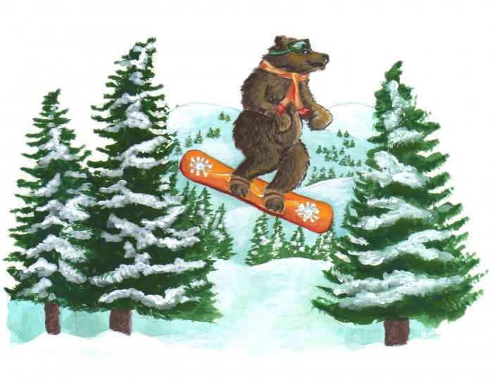 Bear Snowboarding - 8 box set