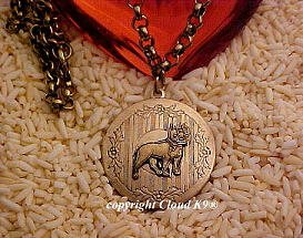 Boston Terrier Photo Locket Necklace ...Jewelry for Dog Lovers