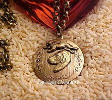 Rhodesian Ridgeback and Lion Photo Locket Necklace ... Jewelry for Dog Lovers