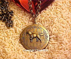 Setter Photo Locket Necklace ( Irish English Gordon Setter ) Jewelry for Dog Lovers