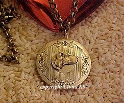 Weimaraner Vizsla Photo Locket Necklace ....Jewelry for Dog Lovers