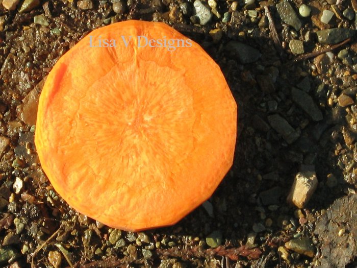 The Carrot Series 6