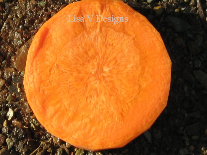 The Carrot Series 5