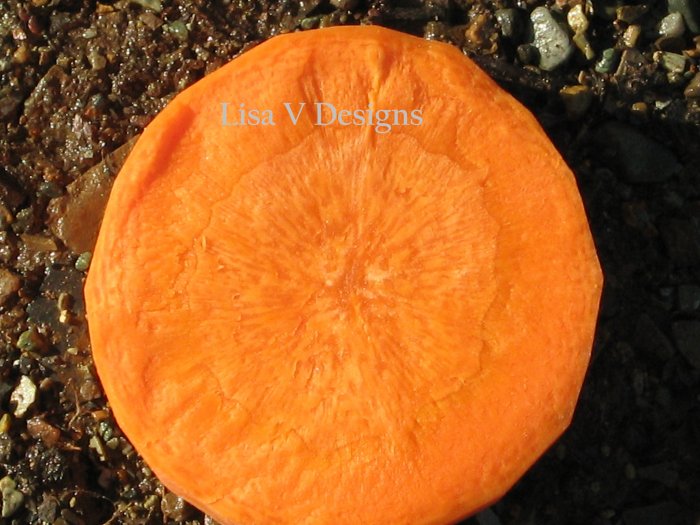 The Carrot Series 4