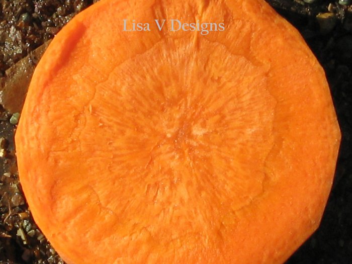The Carrot Series 3