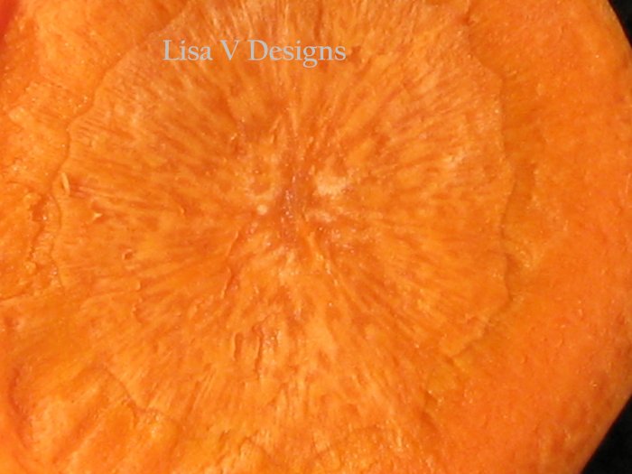 The Carrot Series 1