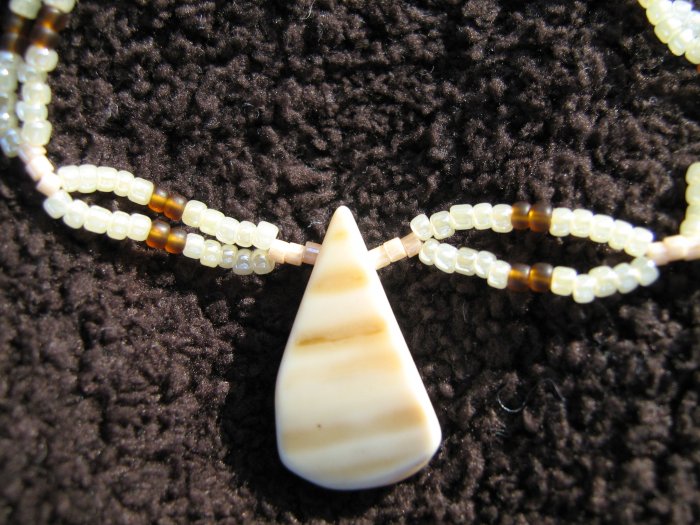 Shell Necklace