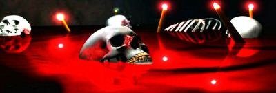 Skull in blood
