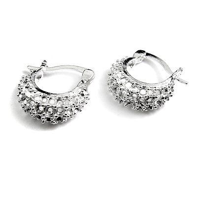 24875-Earrings & Pins