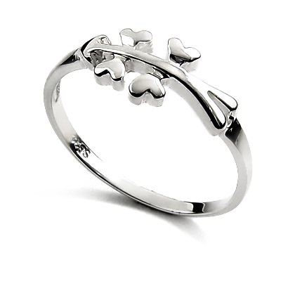 25079-Sterling silver ring