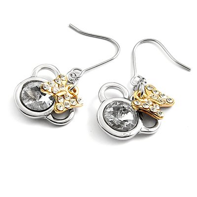 24563-alloy with stone earring