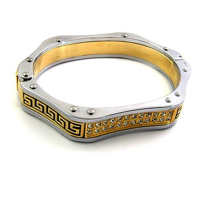 25254-Stainless Steel with stone bangel