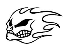 No Fear Flames Skull Vinyl Auto Car Truck Window Decal Sticker #sku-019