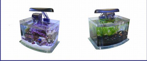 Pico Tope complete aquarium system