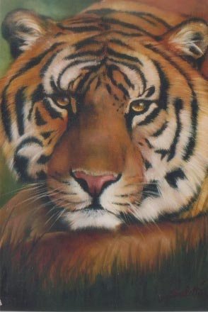 Bob Ross TIGER How-to Paint Pattern Packet Bonus Booklet