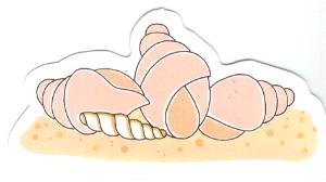 Die Cut - A Day At The Beach - SEASHELLS