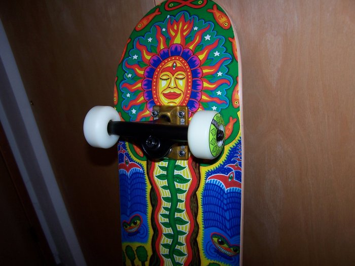 CUSTOM CREATION "NATURE" COMPLETE SKATEBOARD