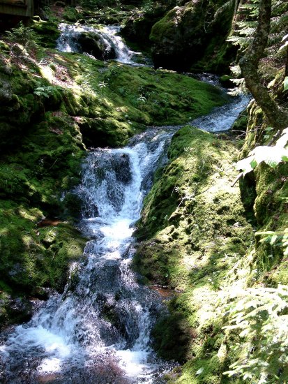 Fuller Falls, Fundy National Park, New Brunswick, CA 02