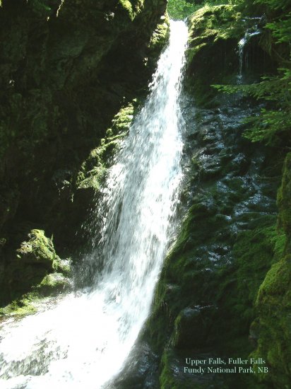 Fuller Falls, Fundy National Park, New Brunswick, CA 04