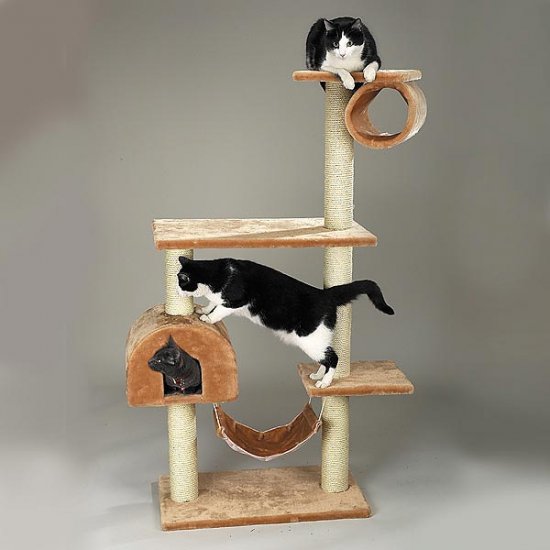 Four story BB Kitten BEIGE Tumbler