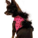 Doggy Pilot