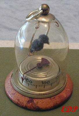 Vintage Bird in Cage Thermometer Glass Wood