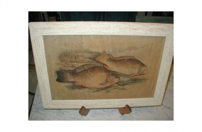 Oriental Fauna KOI Fish ~ Framed Art Image Wood Asian