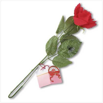 MUSICAL ROSE