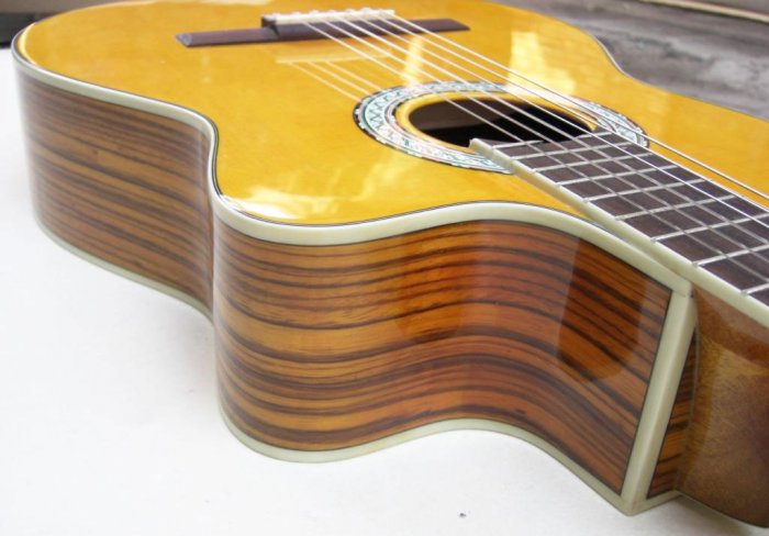 Beautiful NEW Acoustic Classical Guitar