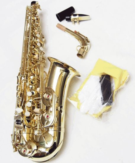 Beautiful NEW Alto Saxophone