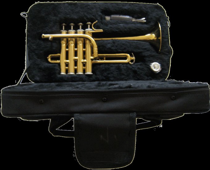 Beautiful NEW Piccolo Trumpet