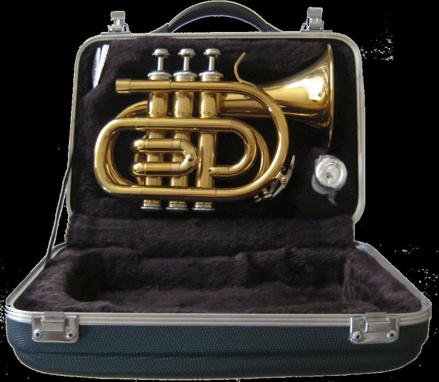 Pocket Trumpet