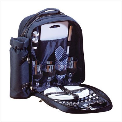 Picnic Backpack - D