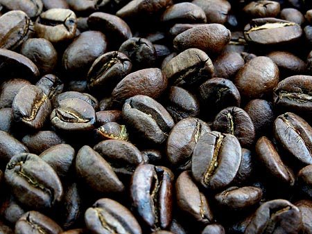 Bolivian Superior Specialty