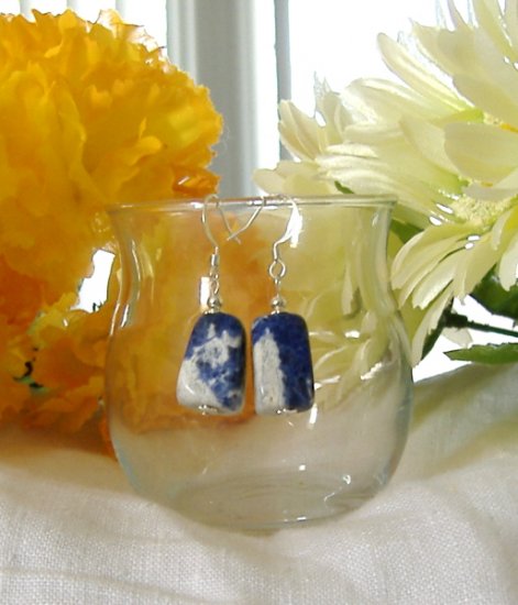 FREE SHIPPING Gorgeous sodalite nugget earrings
