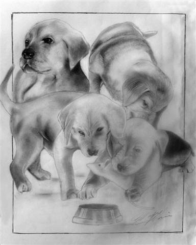 The Litter (5"x7"/8"x10")