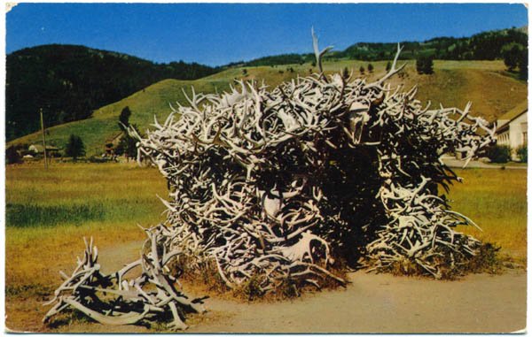 House of Antlers, Mammoth Yellowstone Park