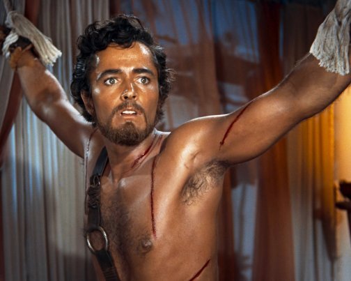 John Derek Ten Commandments 8X10 Photo Zse 64