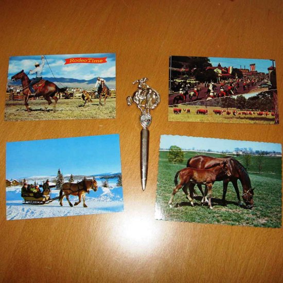 Horse Bronco Rodeo Cowboy Metal Letter Opener Grand Canyon Park with 4 Horse Rodeo Postcards
