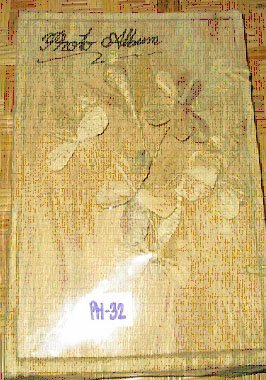 Album (price in euro)
