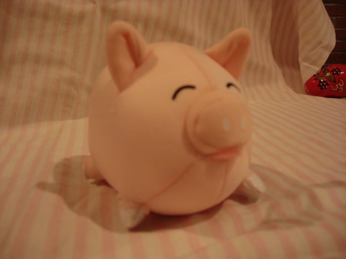 Happy Pig