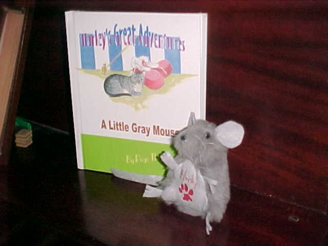 Harley's Gray Mouse